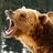 Alaska_Grizzley