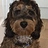 Alastair_Knockton