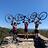 Andrea_Thackeray