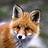 Andreas_Bartels