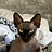 Blair_Coyle_6855