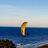 CARL_FOSTER1