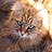 carolin_suhayda