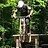 Chris_Quigs