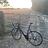 Damian_Alltree