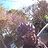 Damon_Lee