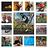 David_Butler2768