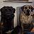 Dorota_B