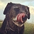 Doug_Bursnall_CMCT