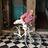 Eddie_Storan