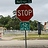 Frank_Karbarz8695