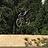 Gary_Jenson