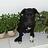 Graham_Hughes_Pack