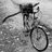 Ian_Notley_KRT