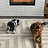 Jamel_Bal1