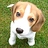 James_ames_SGMums