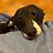 Jeanette_Miller