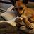 John_Altobello_6026