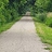 Jon_Wellik