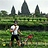 Mardeinse_Dharmaputr