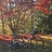Mark_Allen2