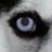 Michael_Cives