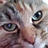 Mike_Billings