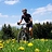 Neil_Catford