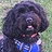 Paul_Callinan_LD_515