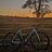 Paul_Cernicharo_BMCC