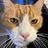 Paul_Loughman_TCBC