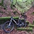 Phillip_Davies
