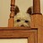 Rachell_Bainbridge_E