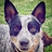 Rob_Styron