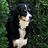 Roger_Mayo_NTS3