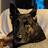 Russ_Nagel