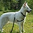 Sammy_Tijsmans8120