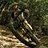 Stefan_Moser1