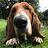 Stuart_Rann_TBR