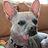 Timothy_Grossano_394