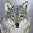 Todd_Tucker1