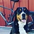 Tom_Welge5317