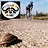 Tomer_Cohen