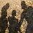 Xavier_S_Bikes-fr