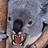 420Dropbear