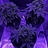 420j0hn
