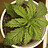 BORN2GROW