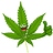 Cannagal
