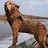Hannah_Thedog