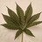 Liljohn420